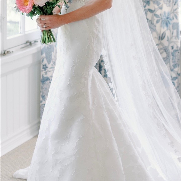 Anne Barge Blue Willow Wedding Dress (Walker style) - Picture 12 of 16